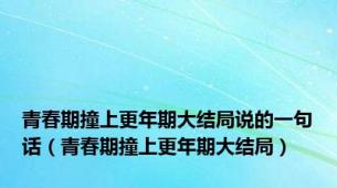 青春期撞上更年期大结局说的一句话（青春期撞上更年期大结局）