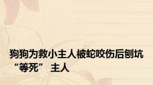 狗狗为救小主人被蛇咬伤后刨坑“等死” 主人