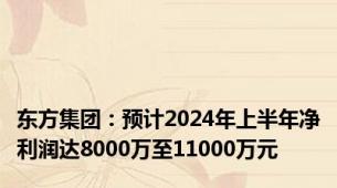 东方集团：预计2024年上半年净利润达8000万至11000万元