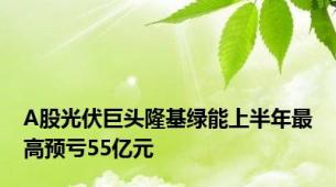 A股光伏巨头隆基绿能上半年最高预亏55亿元