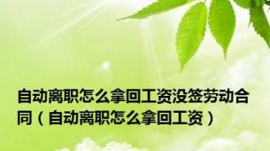 自动离职怎么拿回工资没签劳动合同（自动离职怎么拿回工资）