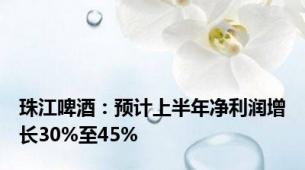 珠江啤酒：预计上半年净利润增长30%至45%