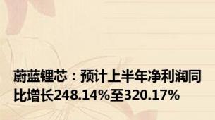 蔚蓝锂芯：预计上半年净利润同比增长248.14%至320.17%