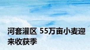 河套灌区 55万亩小麦迎来收获季