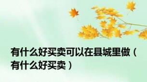 有什么好买卖可以在县城里做（有什么好买卖）