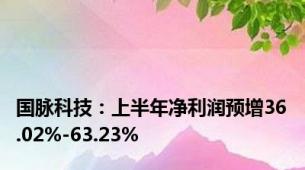 国脉科技：上半年净利润预增36.02%-63.23%