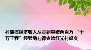 村集体经济收入从零到突破两百万 “千万工程”经验助力德令哈红光村蝶变