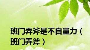 班门弄斧是不自量力（班门弄斧）