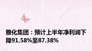 雅化集团：预计上半年净利润下降91.58%至87.38%