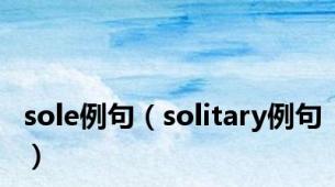 sole例句（solitary例句）