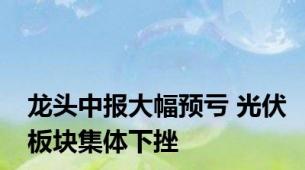 龙头中报大幅预亏 光伏板块集体下挫