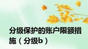 分级保护的账户限额措施（分级b）