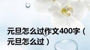 元旦怎么过作文400字（元旦怎么过）