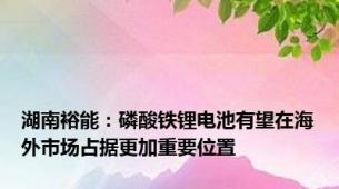 湖南裕能：磷酸铁锂电池有望在海外市场占据更加重要位置