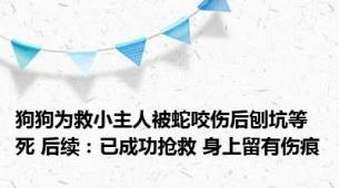 狗狗为救小主人被蛇咬伤后刨坑等死 后续：已成功抢救 身上留有伤痕