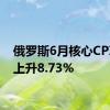 俄罗斯6月核心CPI同比上升8.73%