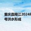 重庆嘉陵江2024年第1号洪水形成