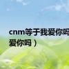 cnm等于我爱你吗（我爱你吗）