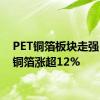 PET铜箔板块走强 铜冠铜箔涨超12%