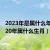 2023年是属什么年（2020年属什么生肖）