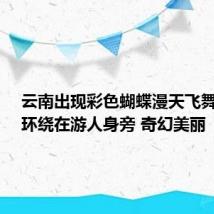 云南出现彩色蝴蝶漫天飞舞奇观：环绕在游人身旁 奇幻美丽