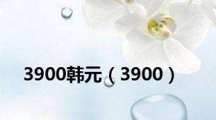 3900韩元（3900）