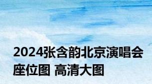 2024张含韵北京演唱会座位图 高清大图