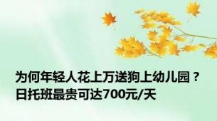 为何年轻人花上万送狗上幼儿园？日托班最贵可达700元/天