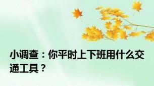 小调查：你平时上下班用什么交通工具？