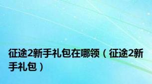 征途2新手礼包在哪领（征途2新手礼包）