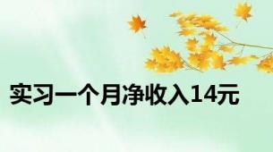 实习一个月净收入14元