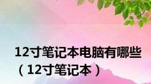 12寸笔记本电脑有哪些（12寸笔记本）