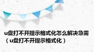 u盘打不开提示格式化怎么解决急需（u盘打不开提示格式化）