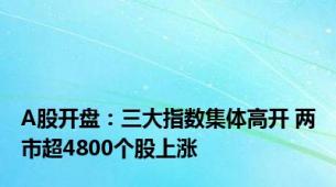 A股开盘：三大指数集体高开 两市超4800个股上涨