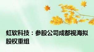 虹软科技：参股公司成都视海拟股权重组