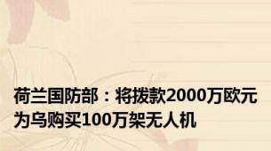 荷兰国防部：将拨款2000万欧元为乌购买100万架无人机