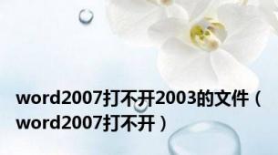 word2007打不开2003的文件（word2007打不开）