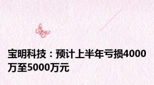 宝明科技：预计上半年亏损4000万至5000万元