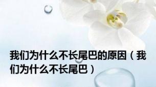 我们为什么不长尾巴的原因（我们为什么不长尾巴）