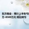 东方锆业：预计上半年亏损5800万-8500万元 同比转亏