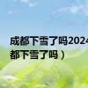 成都下雪了吗2024（成都下雪了吗）