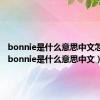 bonnie是什么意思中文怎么读（bonnie是什么意思中文）