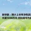 新华联：预计上半年净利润3900万元至5800万元 同比扭亏为盈