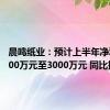 晨鸣纸业：预计上半年净利润2000万元至3000万元 同比扭亏