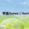 苹果itunes（iturns）