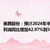 赛腾股份：预计2024年半年度净利润同比增加42.97%到54.56%