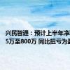 兴民智通：预计上半年净利润535万至800万 同比扭亏为盈