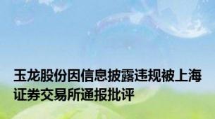 玉龙股份因信息披露违规被上海证券交易所通报批评