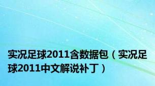 实况足球2011含数据包（实况足球2011中文解说补丁）