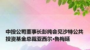 中投公司董事长彭纯会见沙特公共投资基金总裁亚西尔·鲁梅延